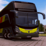 World Bus Driving Simulator 9